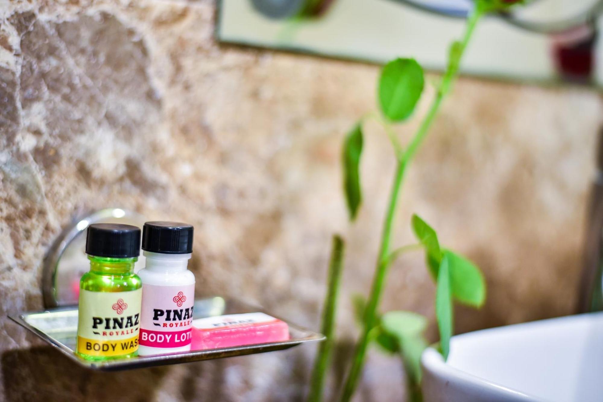 فندق Pinaz Royale أمريتسار المظهر الخارجي الصورة